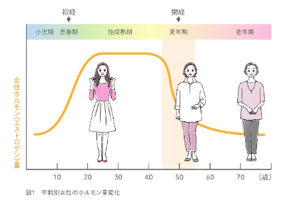 年齢別女性のホルモン量変化